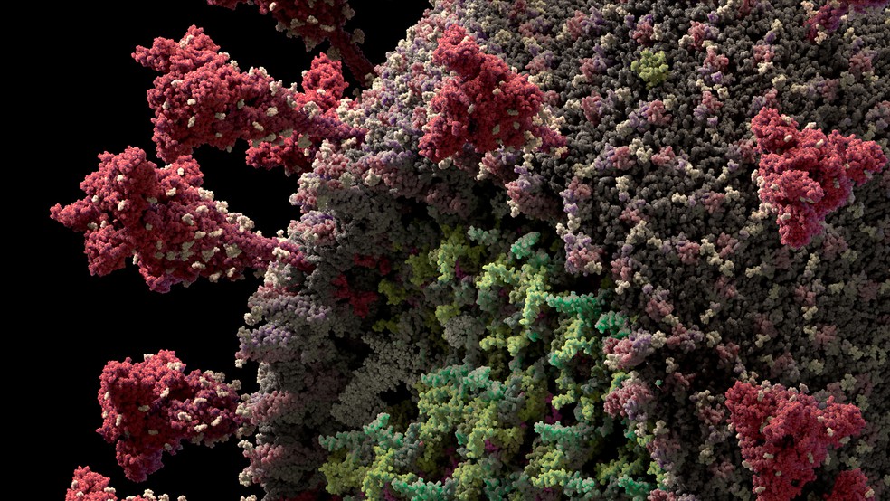 Prefeitura de Franca, SP, registra 60 novos casos de Covid-19 e mais uma morte
